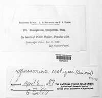 Image Associated With the Occurence
